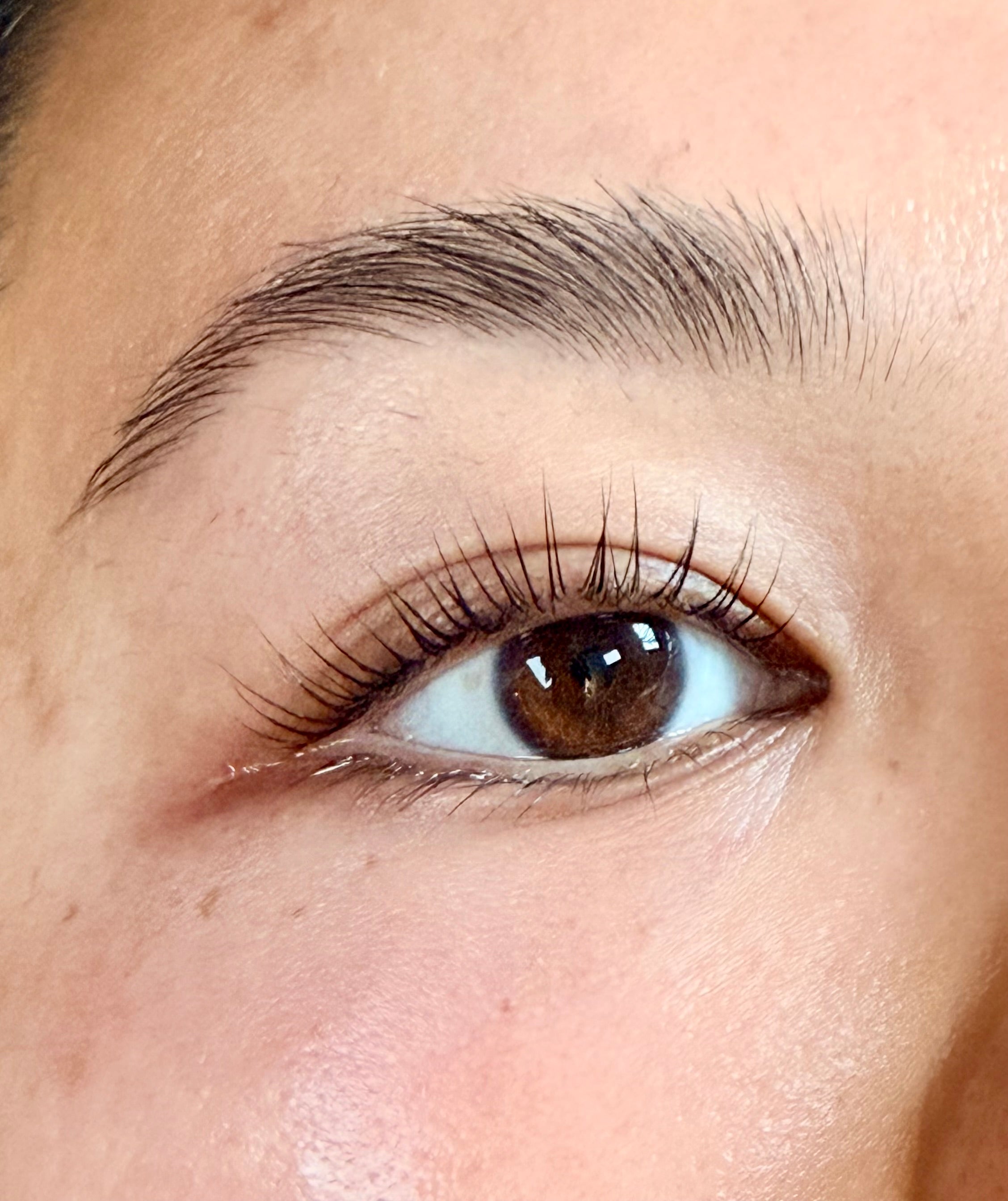How Soon Can I Safely Relift My Client's Lashes or Redo Her Brow Lam?