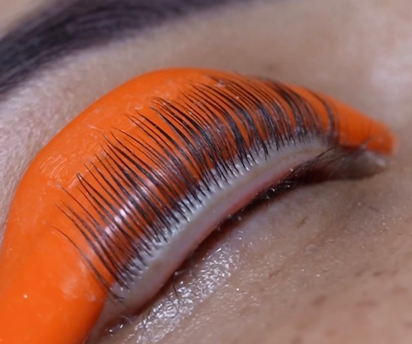 Does a Flipped Lid Actually Matter? What It Looks Like, How It Happens, and How to Prevent It