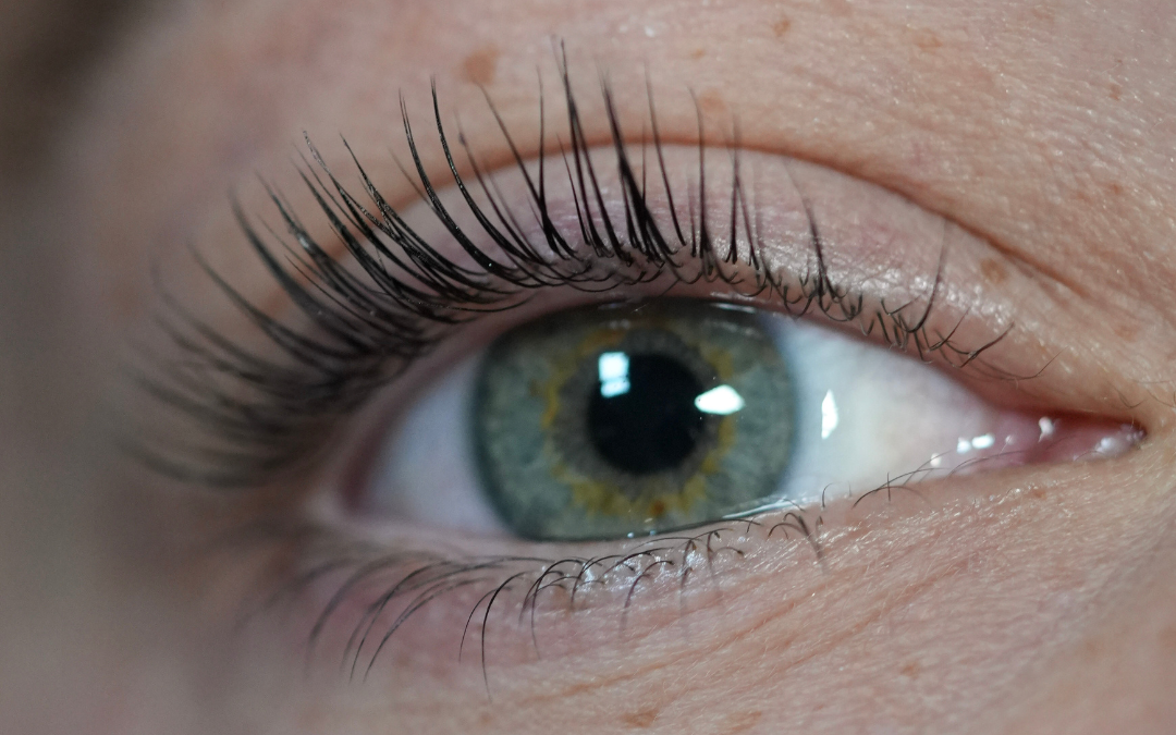 Lashes after a Korean lash lift, lifted and separated, seen close up